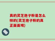 真的灵芝孢子粉是怎么样的(灵芝孢子粉的真正面面观)
