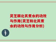 灵芝跟北芪煮水的功效与作用(灵芝和北芪煮水的功效与作用分析)
