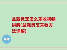 盆栽灵芝怎么采收视频讲解(盆栽灵芝采收方法详解)