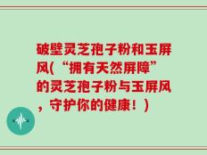 破壁灵芝孢子粉和玉屏风(“拥有天然屏障”的灵芝孢子粉与玉屏风，守护你的健康！)