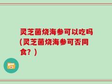 灵芝菌烧海参可以吃吗(灵芝菌烧海参可否同食？)