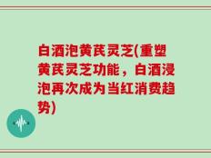 白酒泡黄芪灵芝(重塑黄芪灵芝功能，白酒浸泡再次成为当红消费趋势)