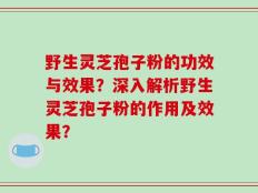 野生灵芝孢子粉的功效与效果？深入解析野生灵芝孢子粉的作用及效果？