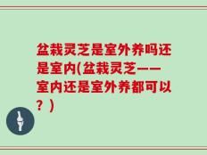 盆栽灵芝是室外养吗还是室内(盆栽灵芝——室内还是室外养都可以？)