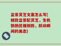 盆景灵芝文案怎么写(精致盆景配灵芝，生机勃勃优雅别致，跃动瞬间的美态)