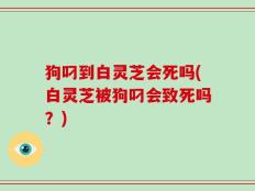 狗叼到白灵芝会死吗(白灵芝被狗叼会致死吗？)