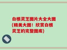 白根灵芝图片大全大图(精美大图！欣赏白根灵芝的完整图库)
