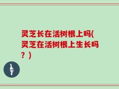 灵芝长在活树根上吗(灵芝在活树根上生长吗？)