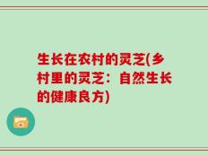 生长在农村的灵芝(乡村里的灵芝：自然生长的健康良方)