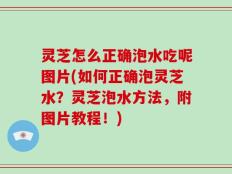 灵芝怎么正确泡水吃呢图片(如何正确泡灵芝水？灵芝泡水方法，附图片教程！)