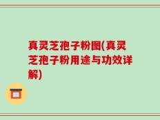 真灵芝孢子粉图(真灵芝孢子粉用途与功效详解)