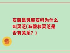 石磬是灵璧石吗为什么叫灵芝(石磬和灵芝是否有关系？)