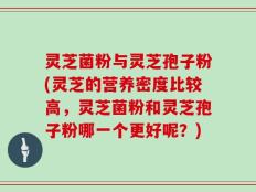 灵芝菌粉与灵芝孢子粉(灵芝的营养密度比较高，灵芝菌粉和灵芝孢子粉哪一个更好呢？)