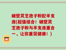 破壁灵芝孢子粉配半支连(超值组合！破壁灵芝孢子粉与半支连重合一，让你重获健康！)