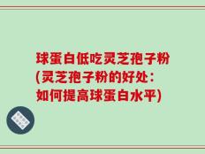 球蛋白低吃灵芝孢子粉(灵芝孢子粉的好处：如何提高球蛋白水平)