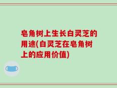 皂角树上生长白灵芝的用途(白灵芝在皂角树上的应用价值)