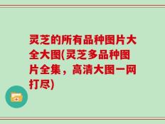 灵芝的所有品种图片大全大图(灵芝多品种图片全集，高清大图一网打尽)