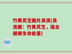 竹黄灵芝图片高清(高清图：竹黄灵芝，蕴含健康生命能量)