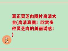 真正灵芝肉图片高清大全(高清真图！欣赏多种灵芝肉的美丽诱惑！)