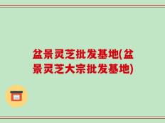 盆景灵芝批发基地(盆景灵芝大宗批发基地)