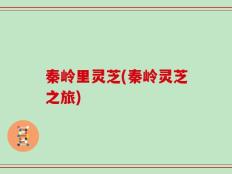 秦岭里灵芝(秦岭灵芝之旅)