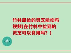 竹林里捡的灵芝能吃吗视频(在竹林中捡到的灵芝可以食用吗？)
