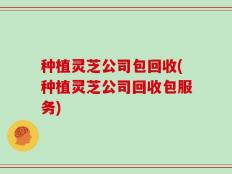 种植灵芝公司包回收(种植灵芝公司回收包服务)