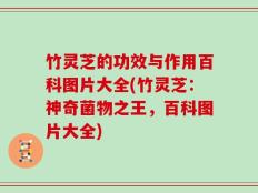 竹灵芝的功效与作用百科图片大全(竹灵芝：神奇菌物之王，百科图片大全)
