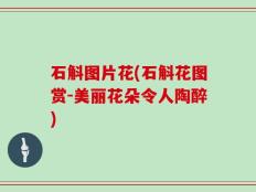 石斛图片花(石斛花图赏-美丽花朵令人陶醉)