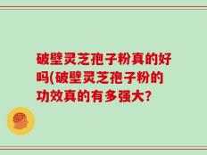 破壁灵芝孢子粉真的好吗(破壁灵芝孢子粉的功效真的有多强大？