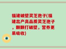 福建破壁灵芝孢子(福建出产高品质灵芝孢子，颗颗打破壁，营养更易吸收)