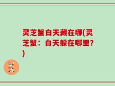 灵芝蟹白天藏在哪(灵芝蟹：白天躲在哪里？)