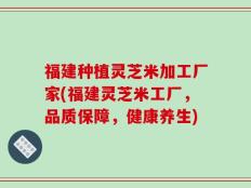 福建种植灵芝米加工厂家(福建灵芝米工厂，品质保障，健康养生)