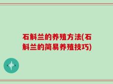 石斛兰的养殖方法(石斛兰的简易养殖技巧)