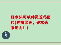 硬木头可以种灵芝吗图片(种植灵芝，硬木头来助力！)