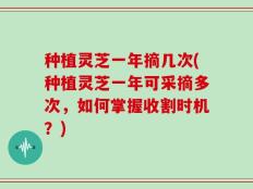 种植灵芝一年摘几次(种植灵芝一年可采摘多次，如何掌握收割时机？)