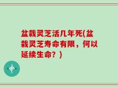 盆栽灵芝活几年死(盆栽灵芝寿命有限，何以延续生命？)