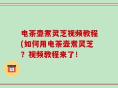 电茶壶煮灵芝视频教程(如何用电茶壶煮灵芝？视频教程来了！