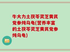 牛大力土茯苓灵芝黄芪党参炖乌龟(营养丰富的土茯苓灵芝黄芪党参炖乌龟)