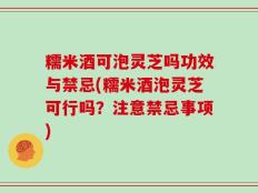 糯米酒可泡灵芝吗功效与禁忌(糯米酒泡灵芝可行吗？注意禁忌事项)