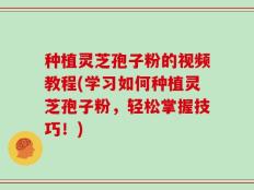 种植灵芝孢子粉的视频教程(学习如何种植灵芝孢子粉，轻松掌握技巧！)