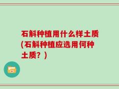 石斛种植用什么样土质(石斛种植应选用何种土质？)