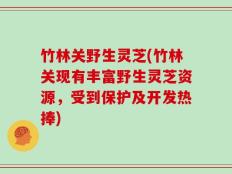 竹林关野生灵芝(竹林关现有丰富野生灵芝资源，受到保护及开发热捧)