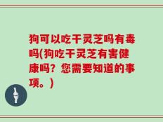 狗可以吃干灵芝吗有毒吗(狗吃干灵芝有害健康吗？您需要知道的事项。)