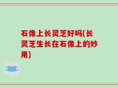 石像上长灵芝好吗(长灵芝生长在石像上的妙用)
