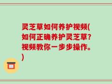 灵芝草如何养护视频(如何正确养护灵芝草？视频教你一步步操作。)