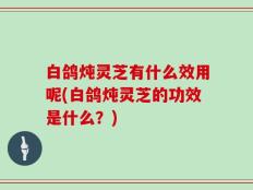 白鸽炖灵芝有什么效用呢(白鸽炖灵芝的功效是什么？)