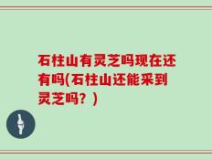 石柱山有灵芝吗现在还有吗(石柱山还能采到灵芝吗？)