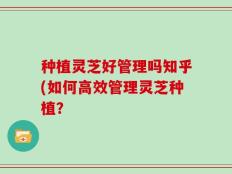 种植灵芝好管理吗知乎(如何高效管理灵芝种植？