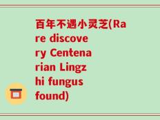 百年不遇小灵芝(Rare discovery Centenarian Lingzhi fungus found)